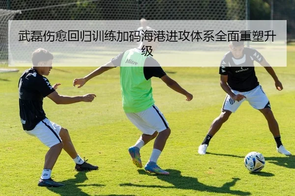 武磊伤愈回归训练加码海港进攻体系全面重塑升级